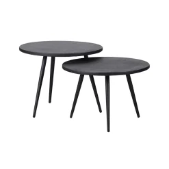 Best WOOOD Bijzettafel Suze Set van 2 stuks Zwart