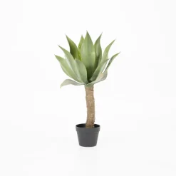 New By-Boo Kunstplant Agave op stam
