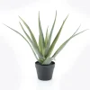 Online By-Boo Kunstplant Aloë Vera 58cm hoog