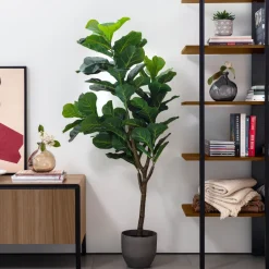 New Kave Home Kunstplant Ficus
