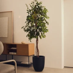 Clearance Kave Home Kunstplant Ficus 180cm hoog, excl. sierpot Groen