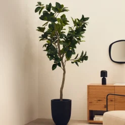 Best Kave Home Kunstplant Ficus 210cm hoog, excl. sierpot Groen
