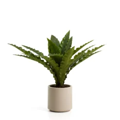 Clearance Kave Home Kunstplant Neottopteris 70cm Groen
