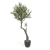 Hot Kave Home Kunstplant Olivo 140cm