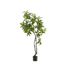 Clearance Kave Home Kunstplant Pachira 180cm hoog Groen