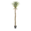 New By-Boo Kunstplant Wild Yucca Tree
