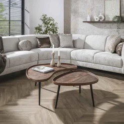 Clearance LifestyleFurn Organische Salontafel Alania Acaciahout, Set van 2 stuks Massief acacia bruin