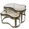 Hot Richmond Interiors Organische Salontafel Fairfield Glas en Brass Antique, Set van 2 stuks