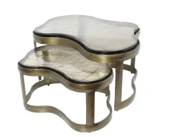 Hot Richmond Interiors Organische Salontafel Fairfield Glas en Brass Antique, Set van 2 stuks