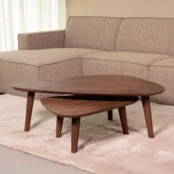 Best LABEL51 Organische Salontafel Gregg Mangohout, Set van 2 stuks