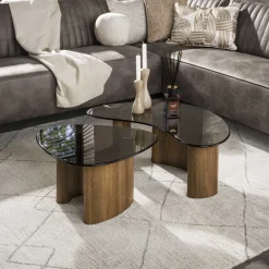 Discount LifestyleFurn Organische Salontafel Kely, set van 2 stuks, Brons glas