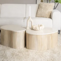 New Eleonora Organische Salontafel Kira Mangohout en marmer, Set van 2 stuks