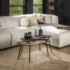 Sale LifestyleFurn Organische Salontafel Marylouise Metaal, Set van 2 stuks, kleur goud/zwart ZWART - GOUD