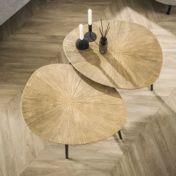 New LifestyleFurn Organische Salontafel Miya Ray Metal, Set van 2 stuks Brons ray metal