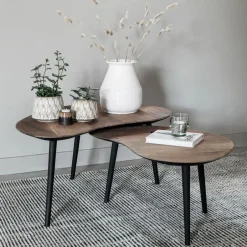 Hot DTP Home Organische Salontafel Organus Teakhout, Set van 2 stuks