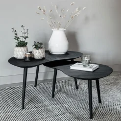 Hot DTP Home Organische Salontafel Organus Teakhout, Set van 2 stuks