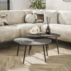 Hot LifestyleFurn Organische Salontafel Teara Leaf Ray Metal finish, Set van 2 stuks Brons donkerbruin