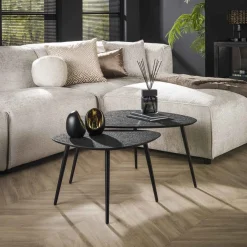 Hot LifestyleFurn Organische Salontafel Thedore Set van 2 stuks, kleur Zwart