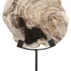 Sale MUST Living Ornament Fossil Versteend hout, 33cm hoog