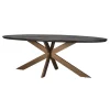 Richmond Interiors Ovale Eettafel Blackbone Eiken en brass