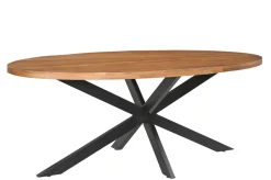 Clearance Livingfurn Ovale Eettafel Rocky Mangohout en staal