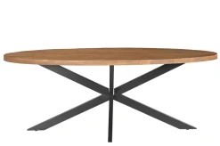 Clearance Livingfurn Ovale Eettafel Rocky Mangohout en staal