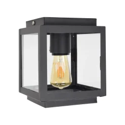Hot Urban Interiors Plafondlamp Loft, kleur Vintage Black