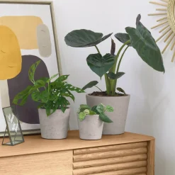 Hot Kave Home Plantenpot Low Set van 3 stuks Grijs