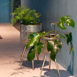 Hot Dutchbone Plantenstandaard Botanique Goudkleurig