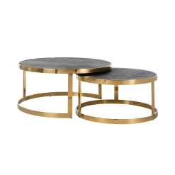 Hot Richmond Interiors Salontafel Blackbone Eiken en staal, Set van 2 stuks, kleur Zwart / Goud