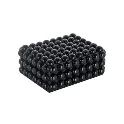 Clearance Richmond Interiors Sieradendoos Batool kleur Zwart