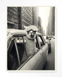 Best Urban Cotton Wandkleed Alpaca In NY in maat en frame naar keuze