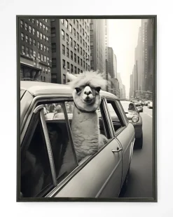 Best Urban Cotton Wandkleed Alpaca In NY in maat en frame naar keuze