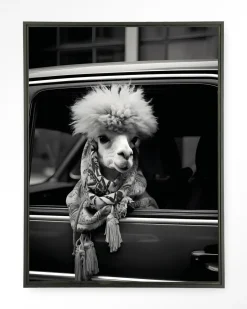 New Urban Cotton Wandkleed Alpaca In Taxi in maat en frame naar keuze