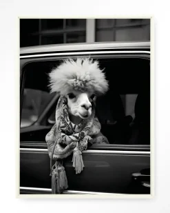 New Urban Cotton Wandkleed Alpaca In Taxi in maat en frame naar keuze