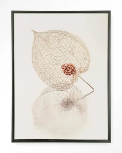 Online Urban Cotton Wandkleed De Reflectie Van Vergankelijkheid In Lichte Tinten in maat en frame naar keuze