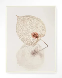 Online Urban Cotton Wandkleed De Reflectie Van Vergankelijkheid In Lichte Tinten in maat en frame naar keuze