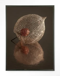 Hot Urban Cotton Wandkleed De Reflectie Van Vergankelijkheid In Bruintinten in maat en frame naar keuze