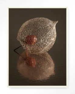 Hot Urban Cotton Wandkleed De Reflectie Van Vergankelijkheid In Bruintinten in maat en frame naar keuze