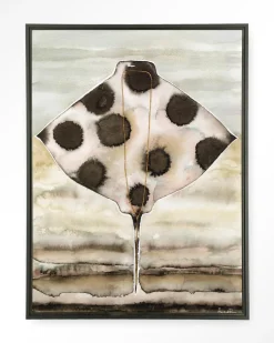 Clearance Urban Cotton Wandkleed Eagle Ray in maat en frame naar keuze