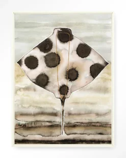 Clearance Urban Cotton Wandkleed Eagle Ray in maat en frame naar keuze