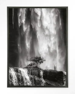 Discount Urban Cotton Wandkleed Germinate in maat en frame naar keuze