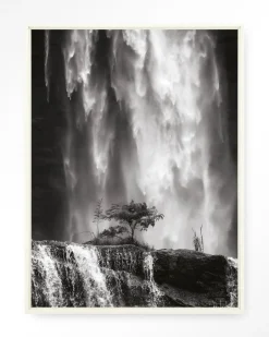 Discount Urban Cotton Wandkleed Germinate in maat en frame naar keuze