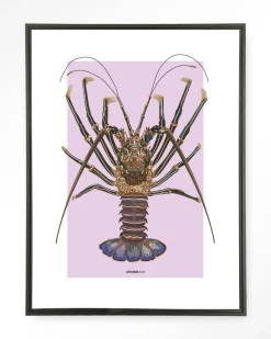 Online Urban Cotton Wandkleed Langosta in maat en frame naar keuze