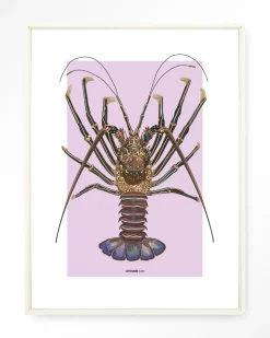 Online Urban Cotton Wandkleed Langosta in maat en frame naar keuze