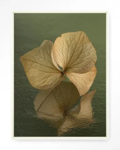 Discount Urban Cotton Wandkleed Leaf Me: In Reflection in maat en frame naar keuze