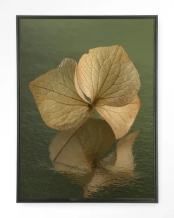 Discount Urban Cotton Wandkleed Leaf Me: In Reflection in maat en frame naar keuze