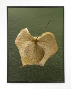 Online Urban Cotton Wandkleed Leaf Me: In The Green in maat en frame naar keuze