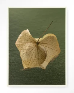 Online Urban Cotton Wandkleed Leaf Me: In The Green in maat en frame naar keuze