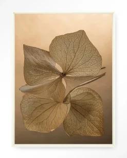 Hot Urban Cotton Wandkleed Leaf Me: Unfolded in maat en frame naar keuze